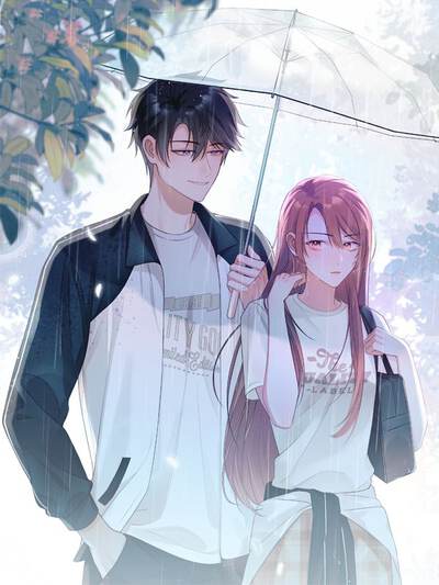 钢之炼金术师 - 兄弟寻找贤者之石